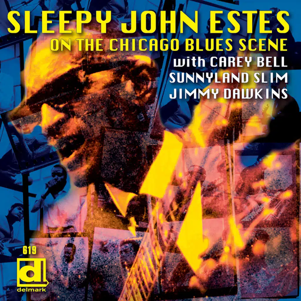 Airplane Blues (feat. Sunnyland Slim, Jimmy Dawkins & Carey Bell)