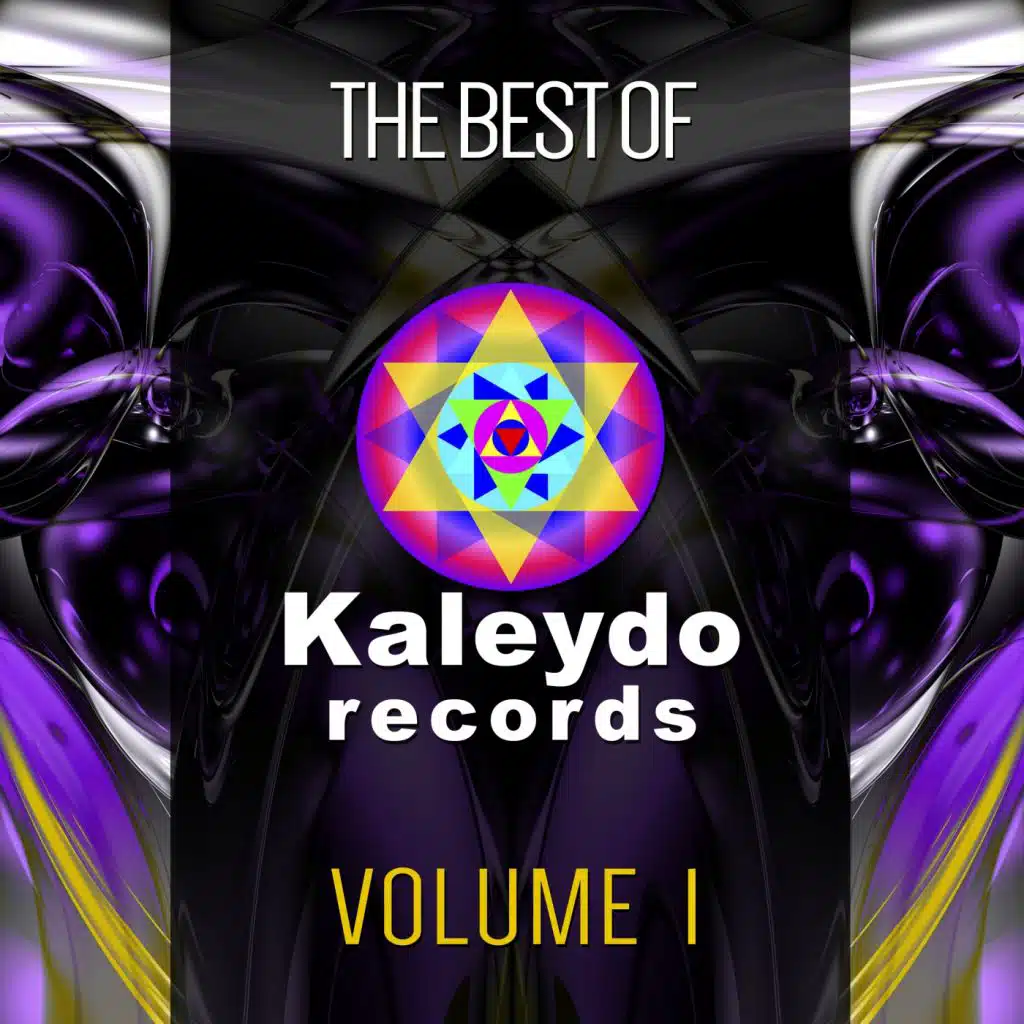 The Best Of Kaleydo Records Vol.1