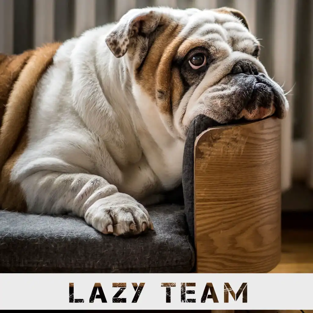 Lazy Team
