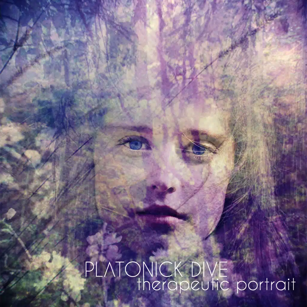 Meet Me in the Forest