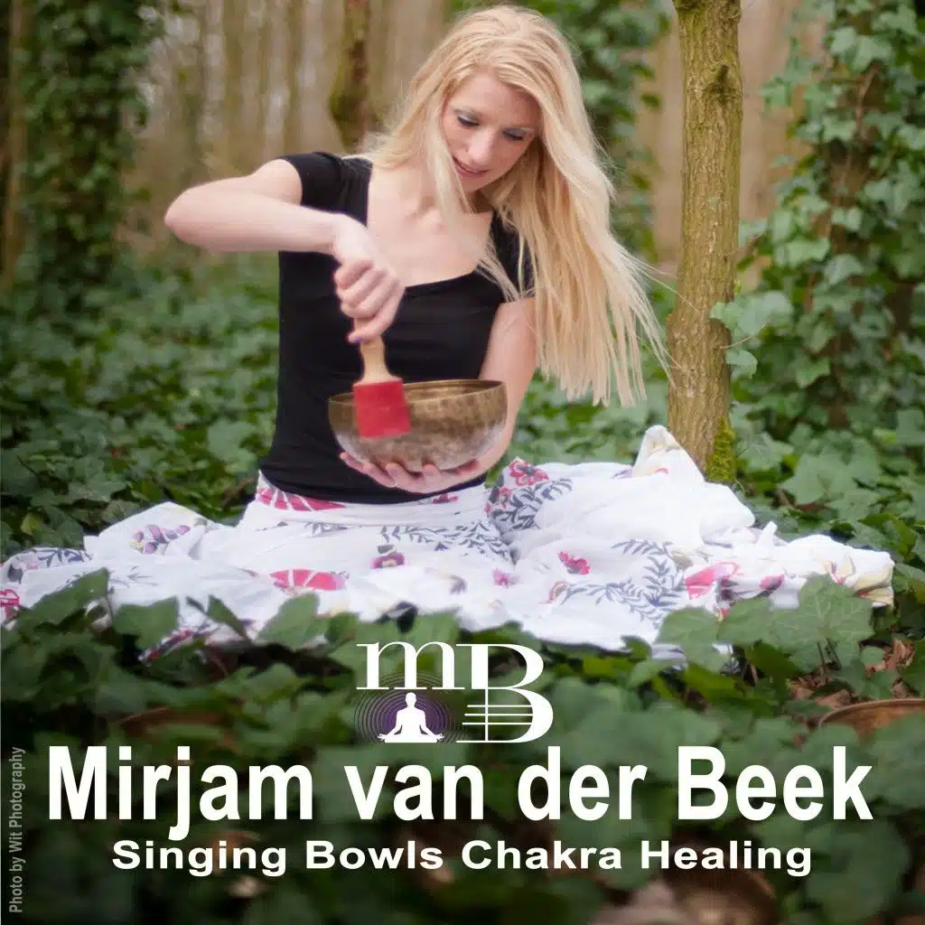 Singing Bowls Chakra Healing