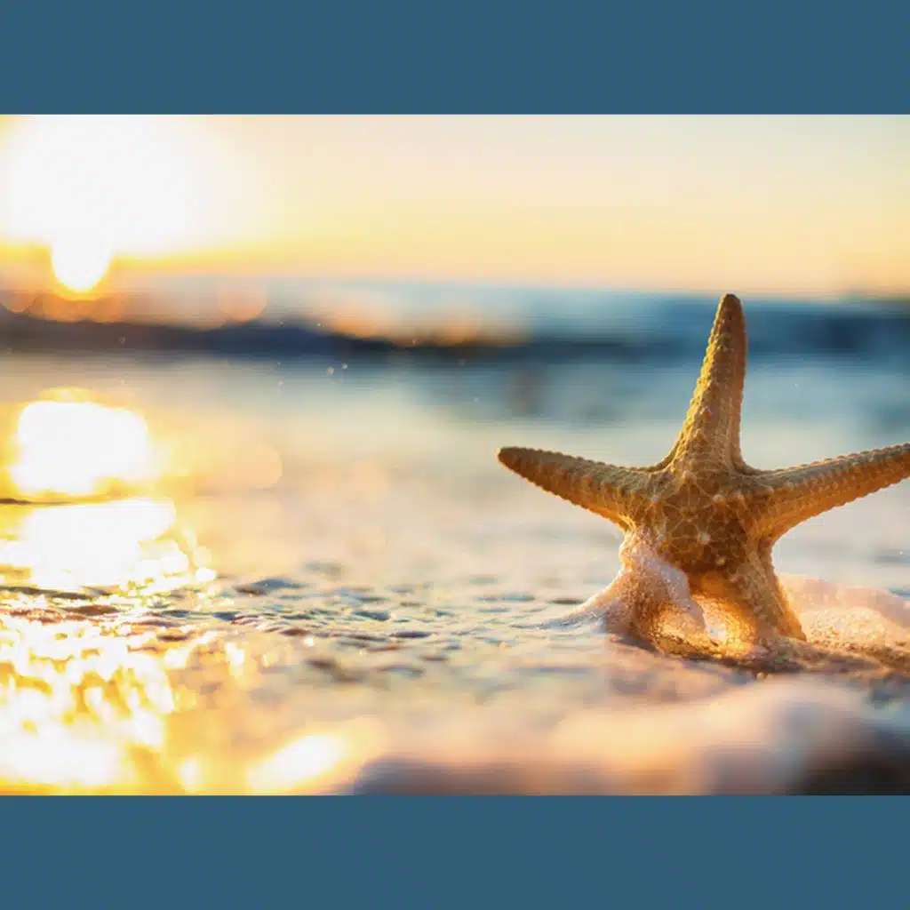 Less Stress, More Success