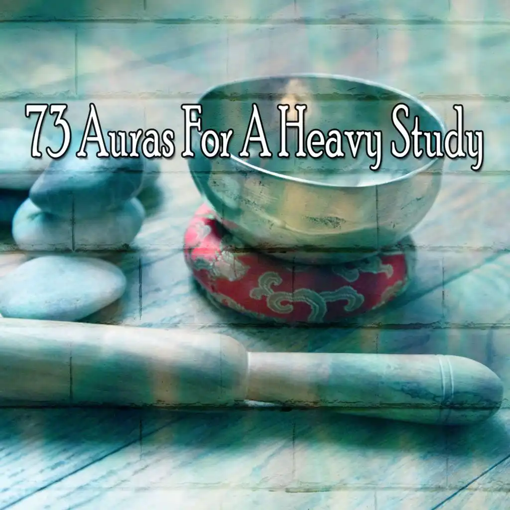 73 Auras for a Heavy Study