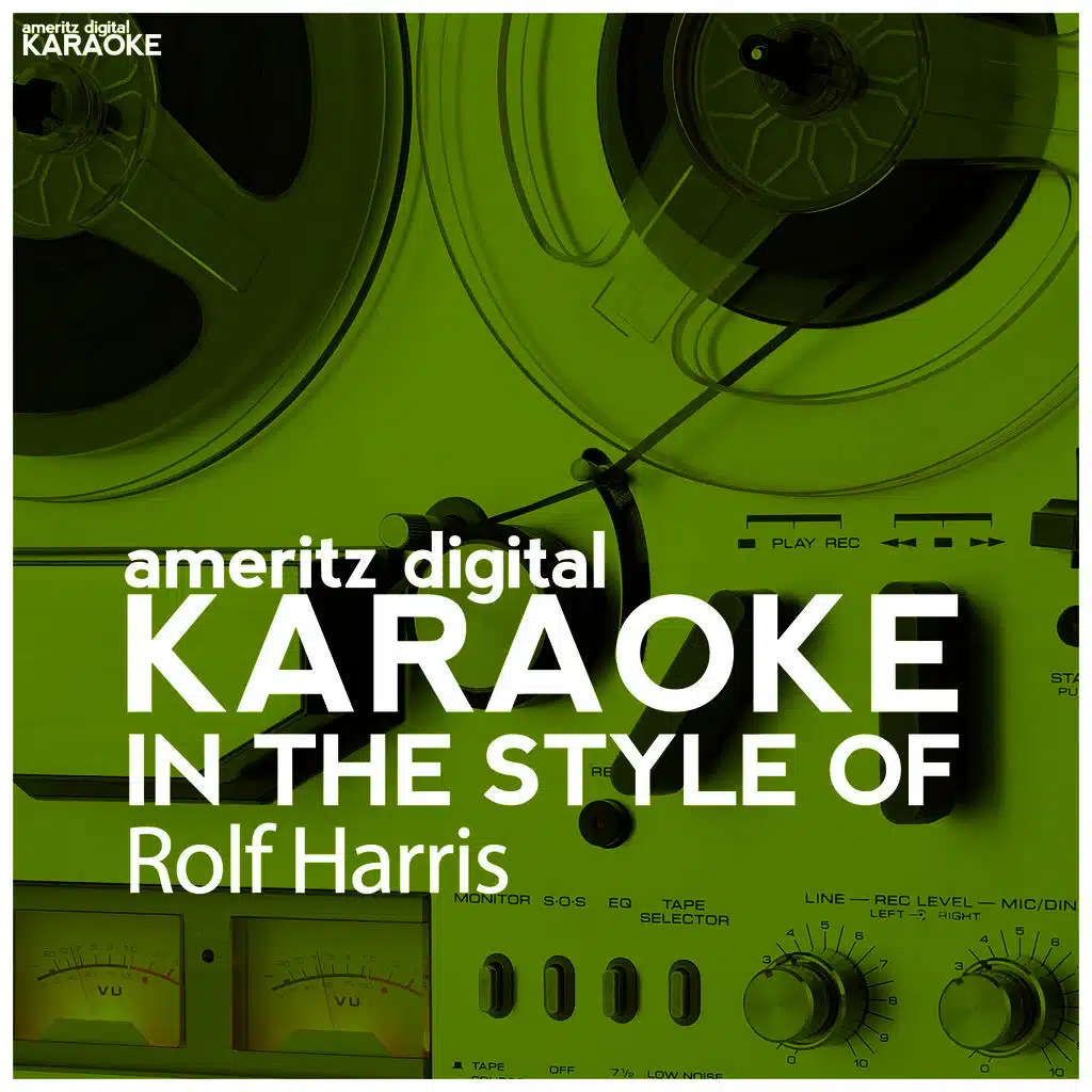 Karaoke (In the Style of Rolf Harris)