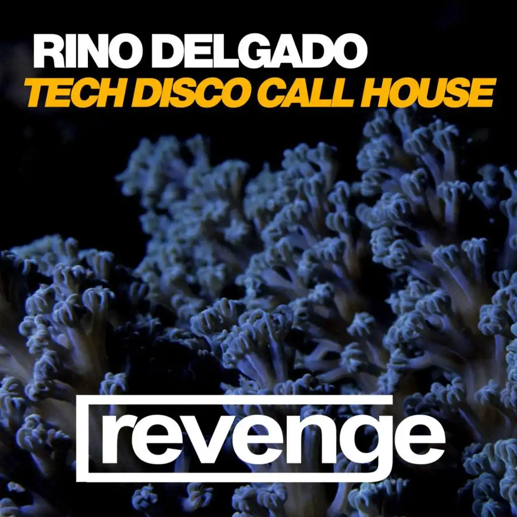Tech Disco Call House