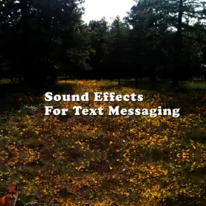 Sound Effects for Text Messaging