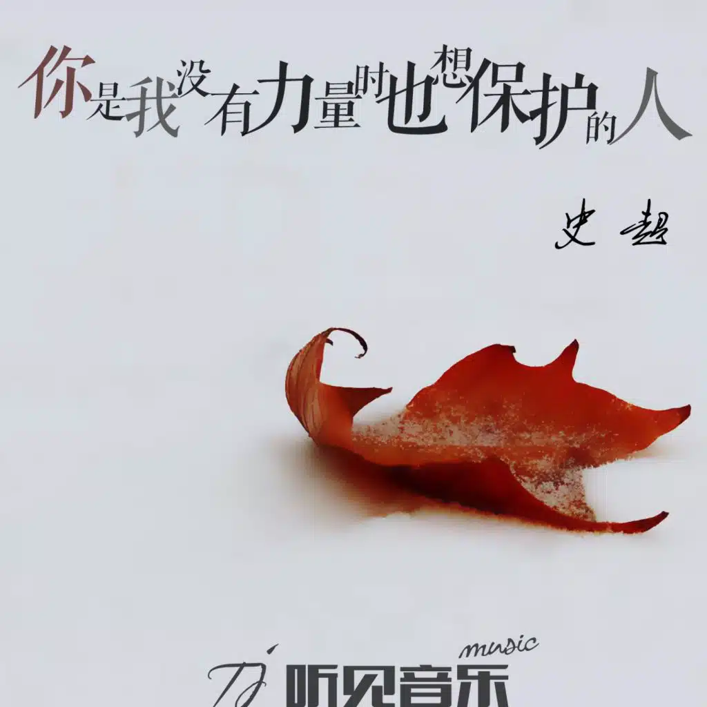 你是我没有力量时也想保护的人