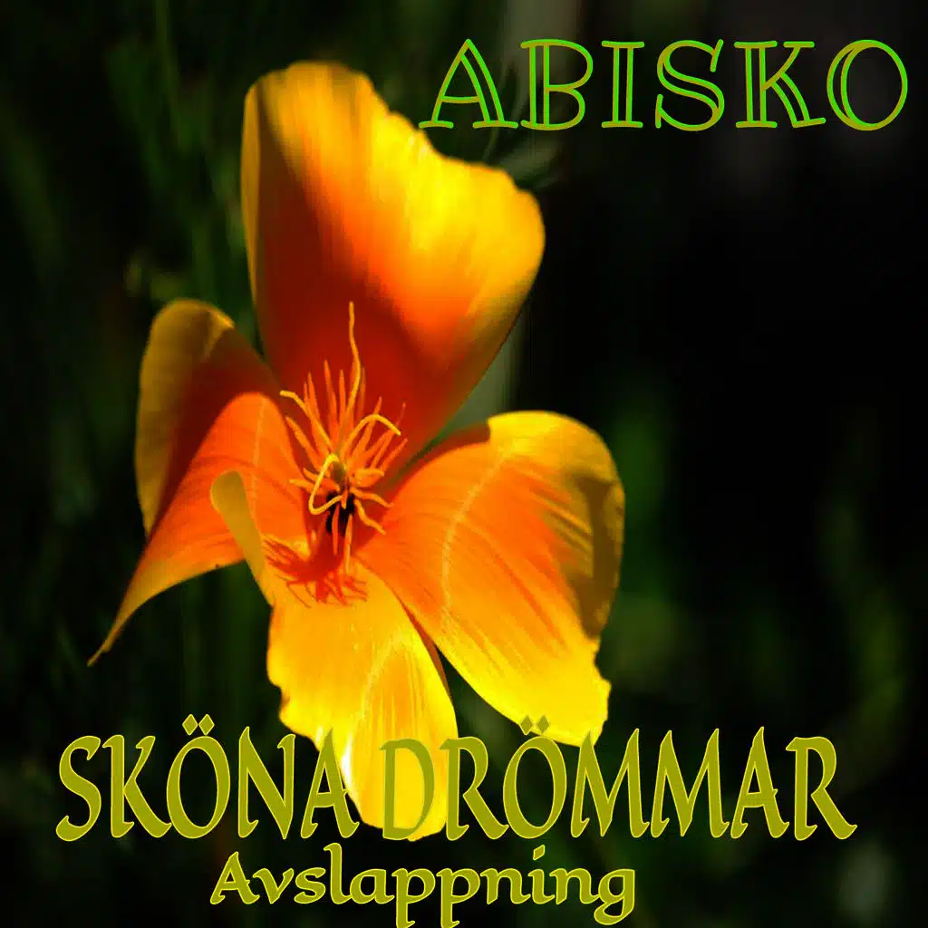 Sköna drömmar avslappning