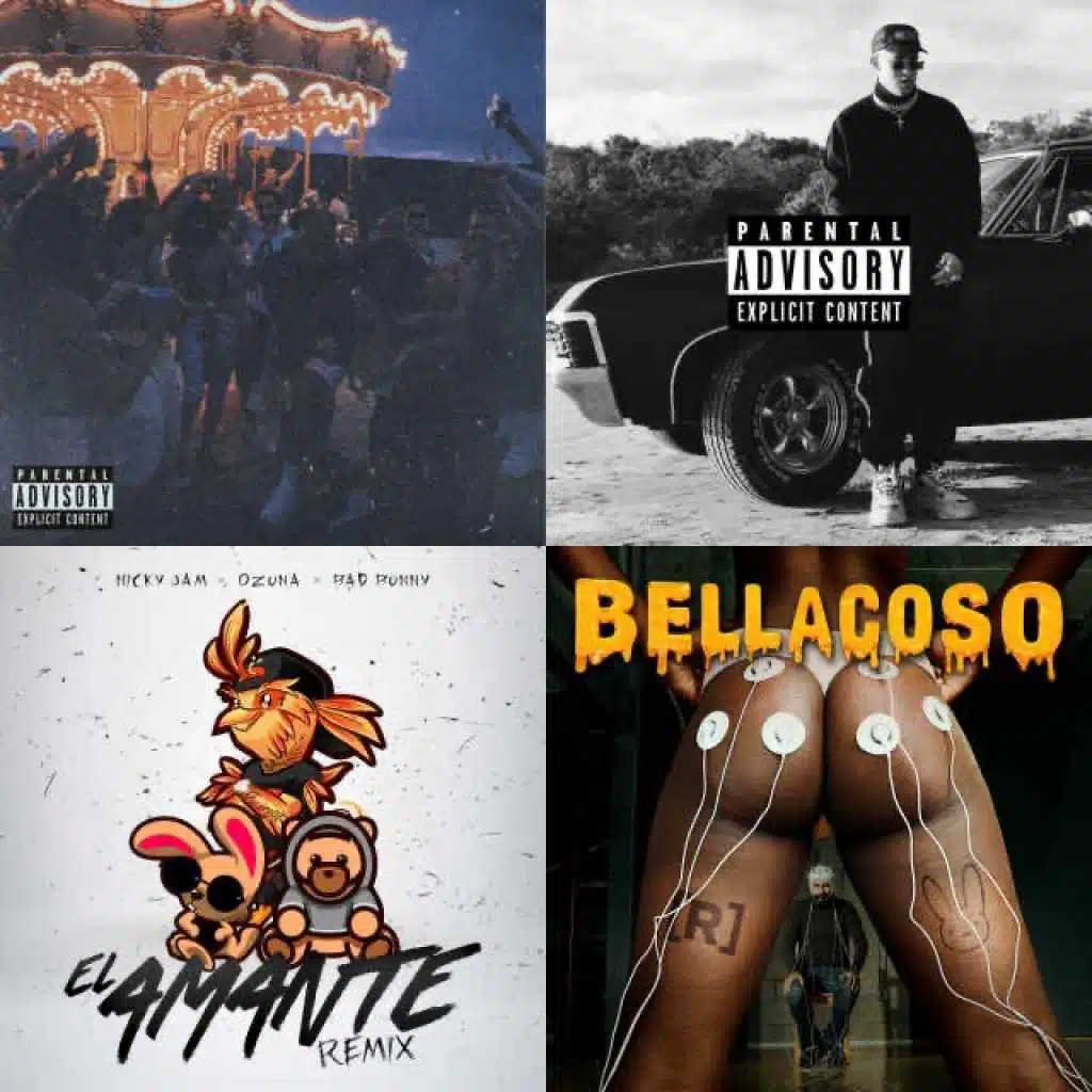 🐰 BAD BUNNY [Imported]