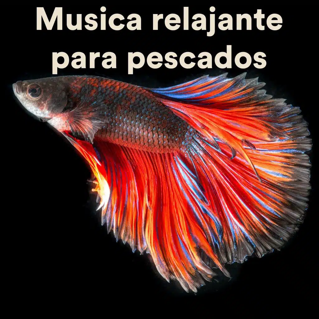 Musica Relajante Para Pescados