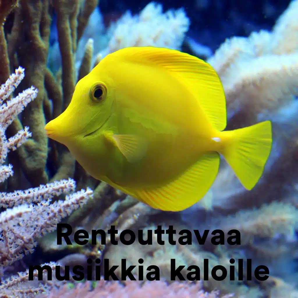 Rentouttavaa Musiikkia Kaloille