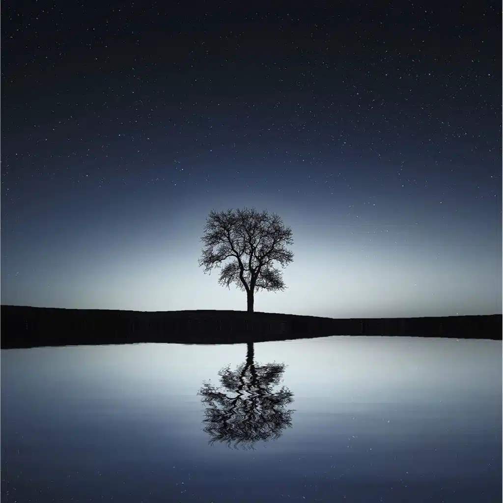 50 Nature Sounds for Relaxation