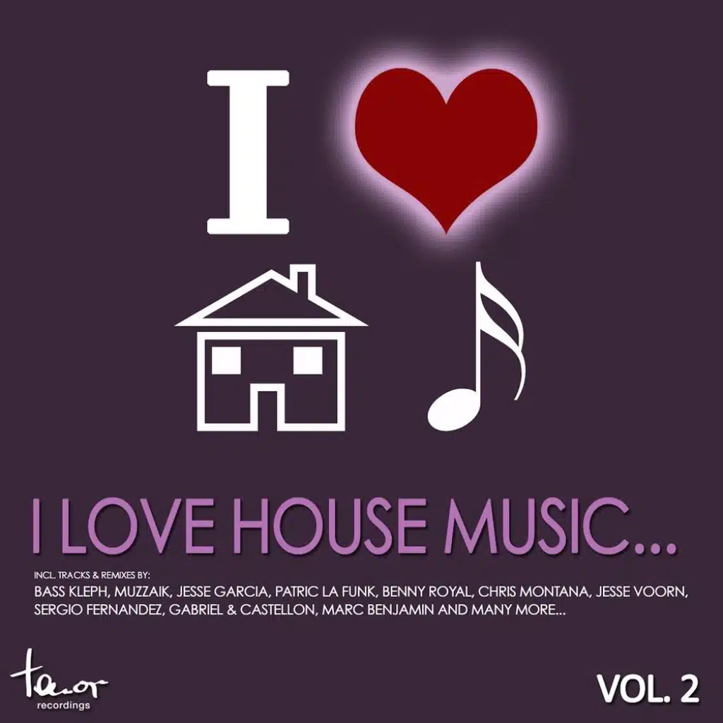 Give You My Love (Patric La Funk Remix) [feat. Sam Solace]