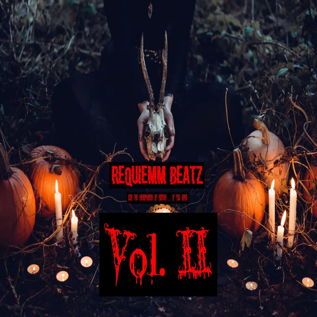 Rap Beat Mix, Vol. II