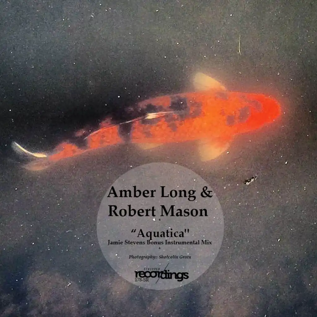 Robert Mason feat. Amber Long