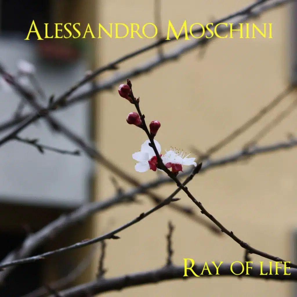 Ray of Life