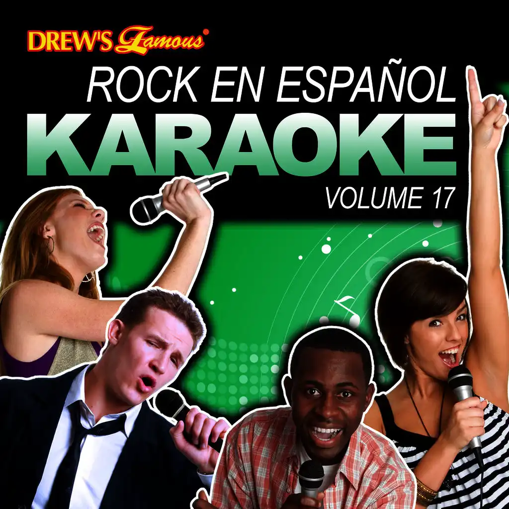 Rock En Español Karaoke, Vol. 17