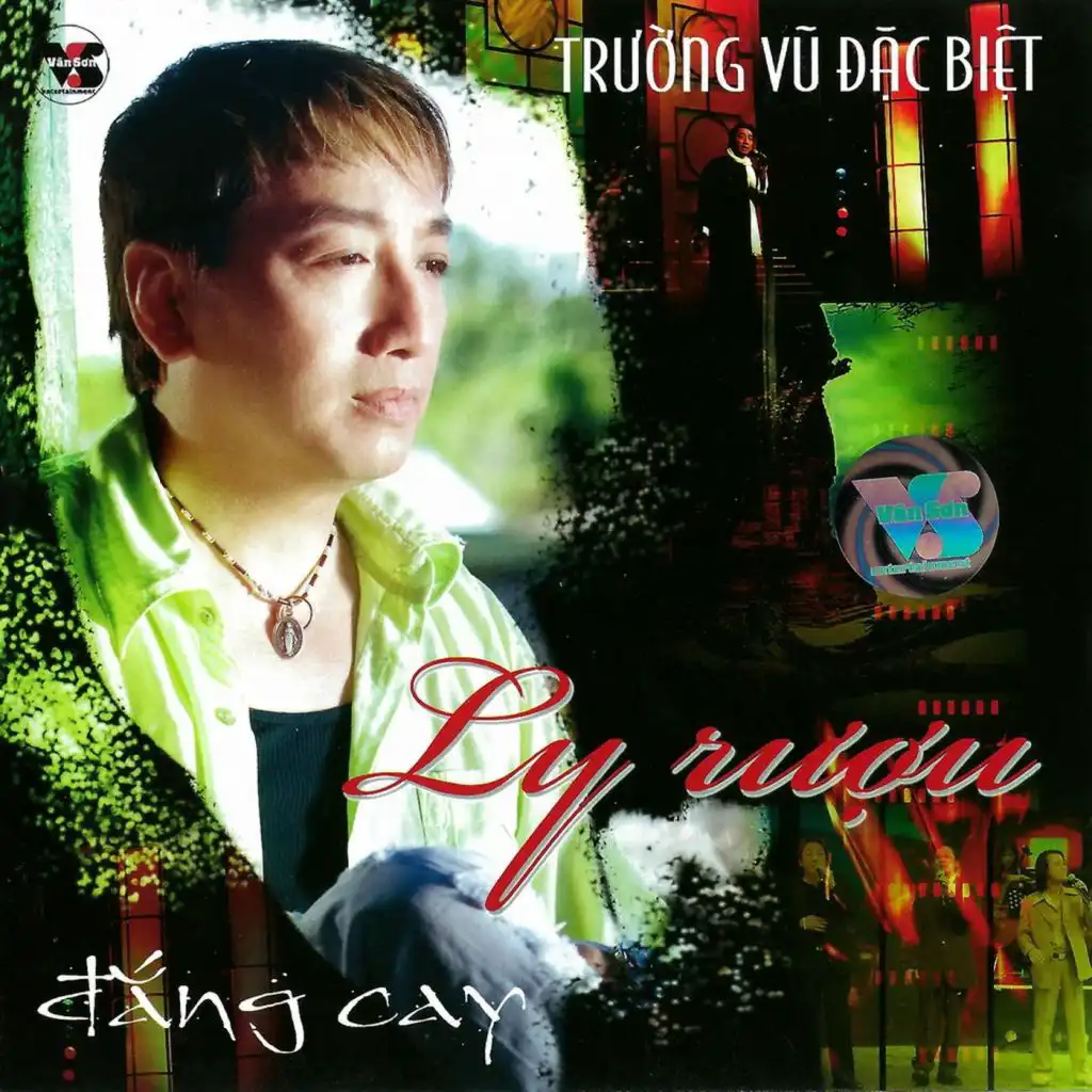 Ly Rượu Đắng Cay (Karaoke)