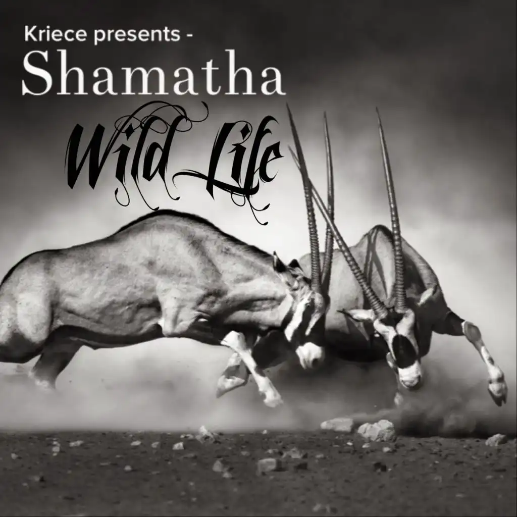 Wild Life EP