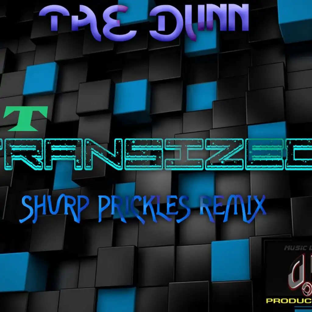 Transized (ShvrpPrickles Remix)