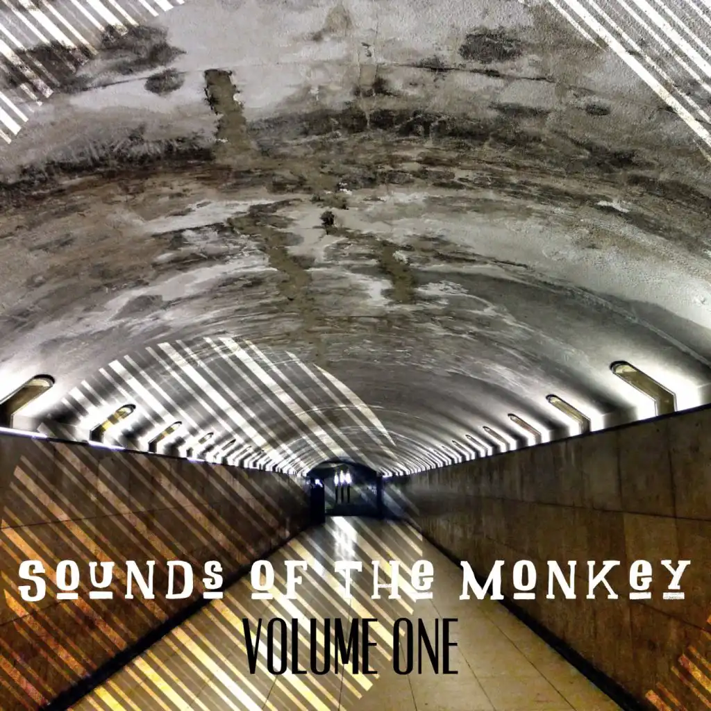 The Sounds of The Monkey Vol. 1