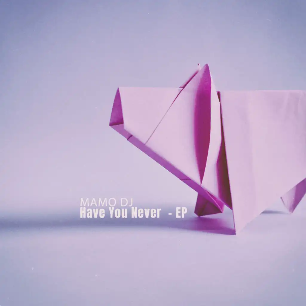 Have You Never (Never Before Mix)