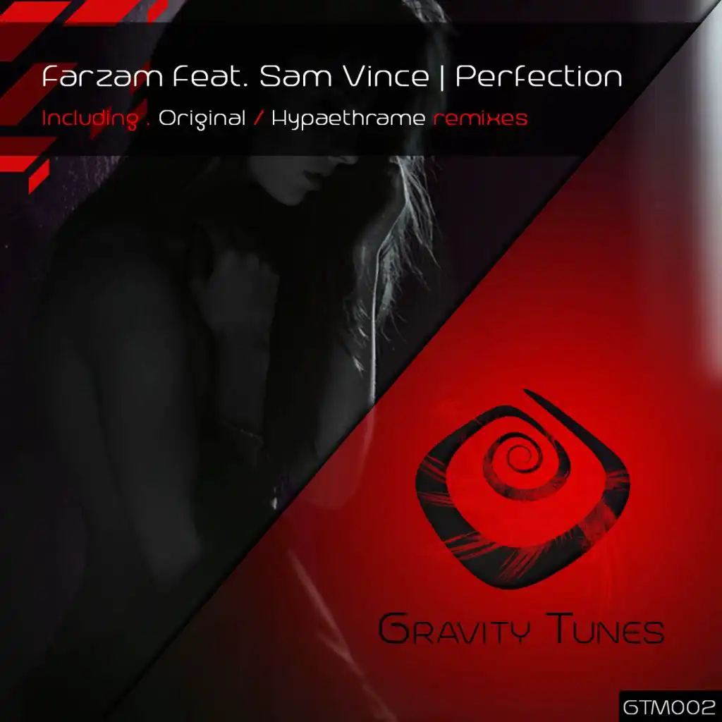 Perfection (Hypaethrame Remix) [feat. Sam Vince]