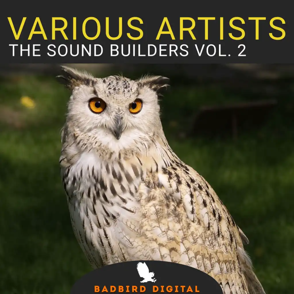 The Sound Builders, Vol. 2