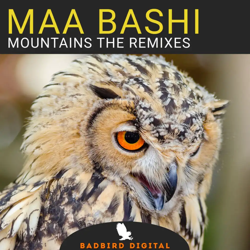 Mountains (Dub Makers Remix)