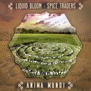 Anima Mundi (Moon Frog & Mxxnwatchers Remix)