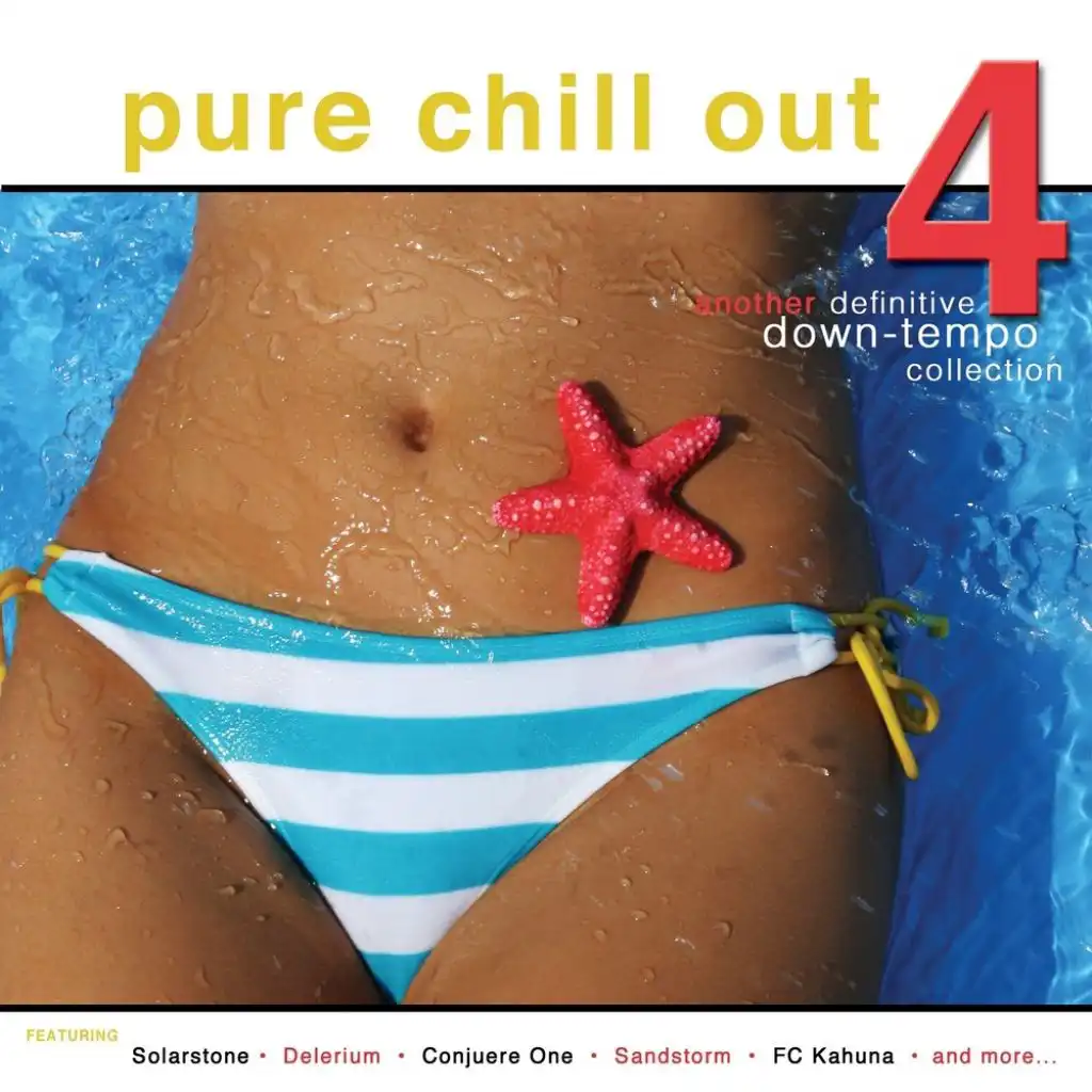 Pure Chill Out 4