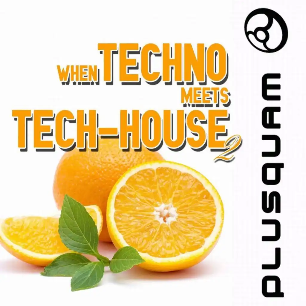When Techno Meets Tech-House, Vol. 2