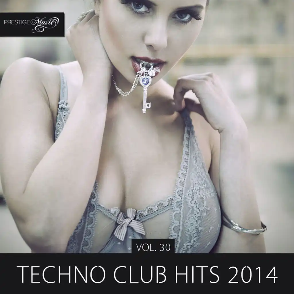 Techno Club Hits 2014, Vol. 30