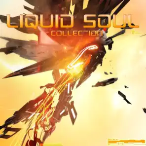 Connected (Liquid Soul Remix)