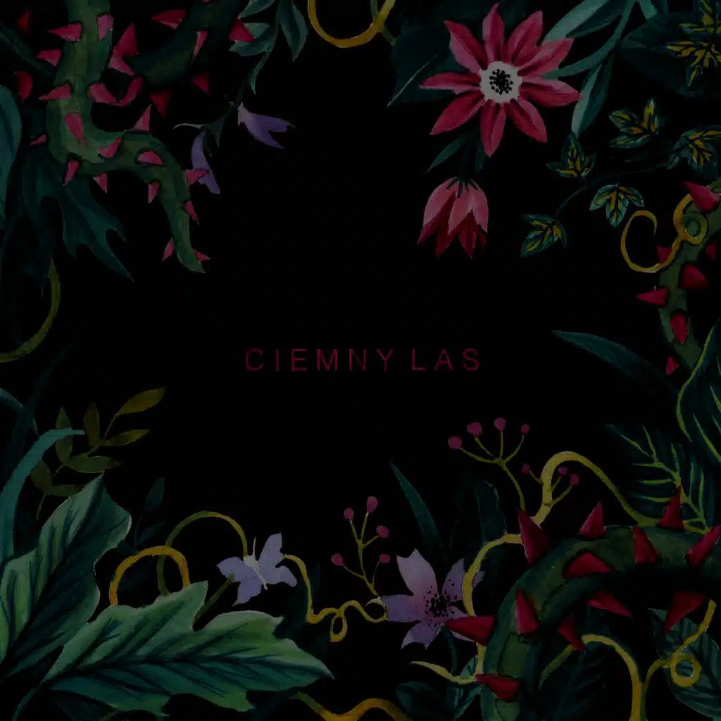 Ciemny Las