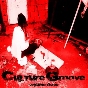 Culture Groove Vol. 3