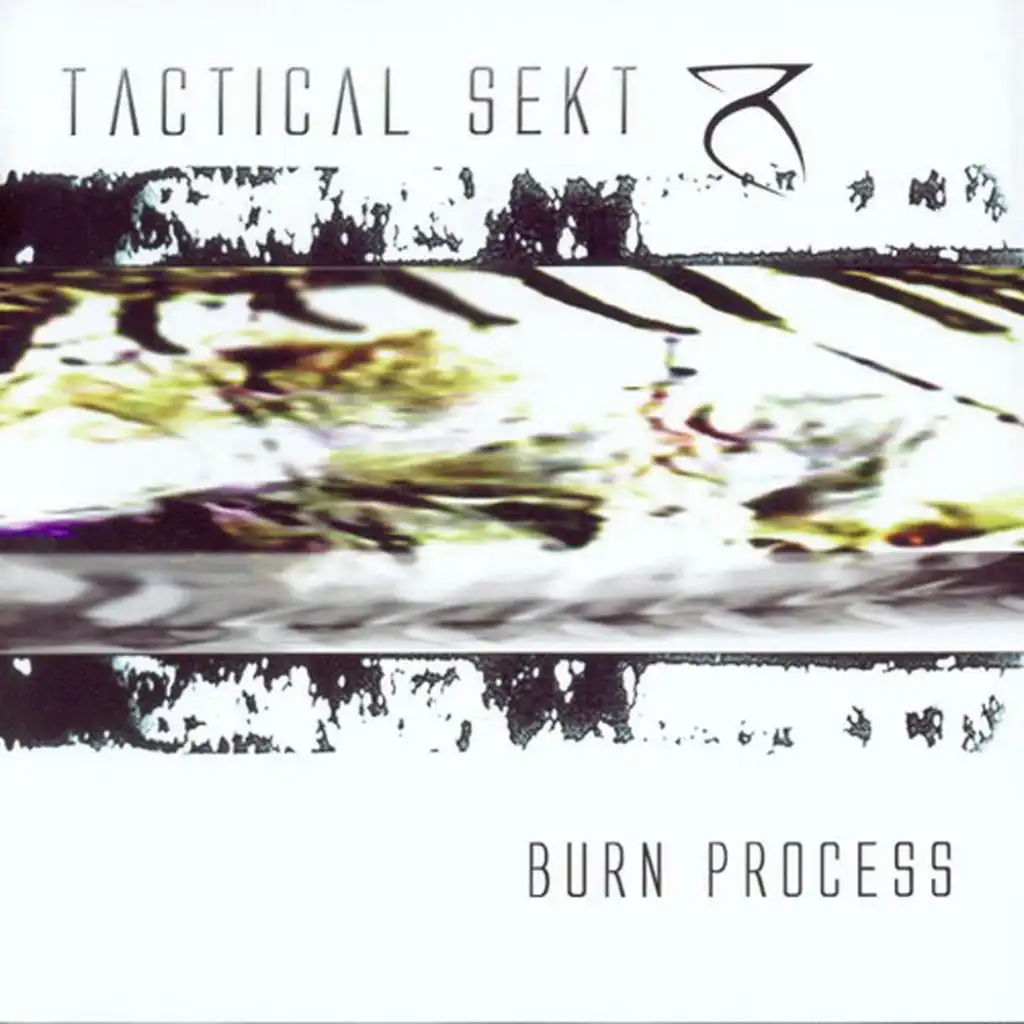 Burn Process (Destruction Remix)