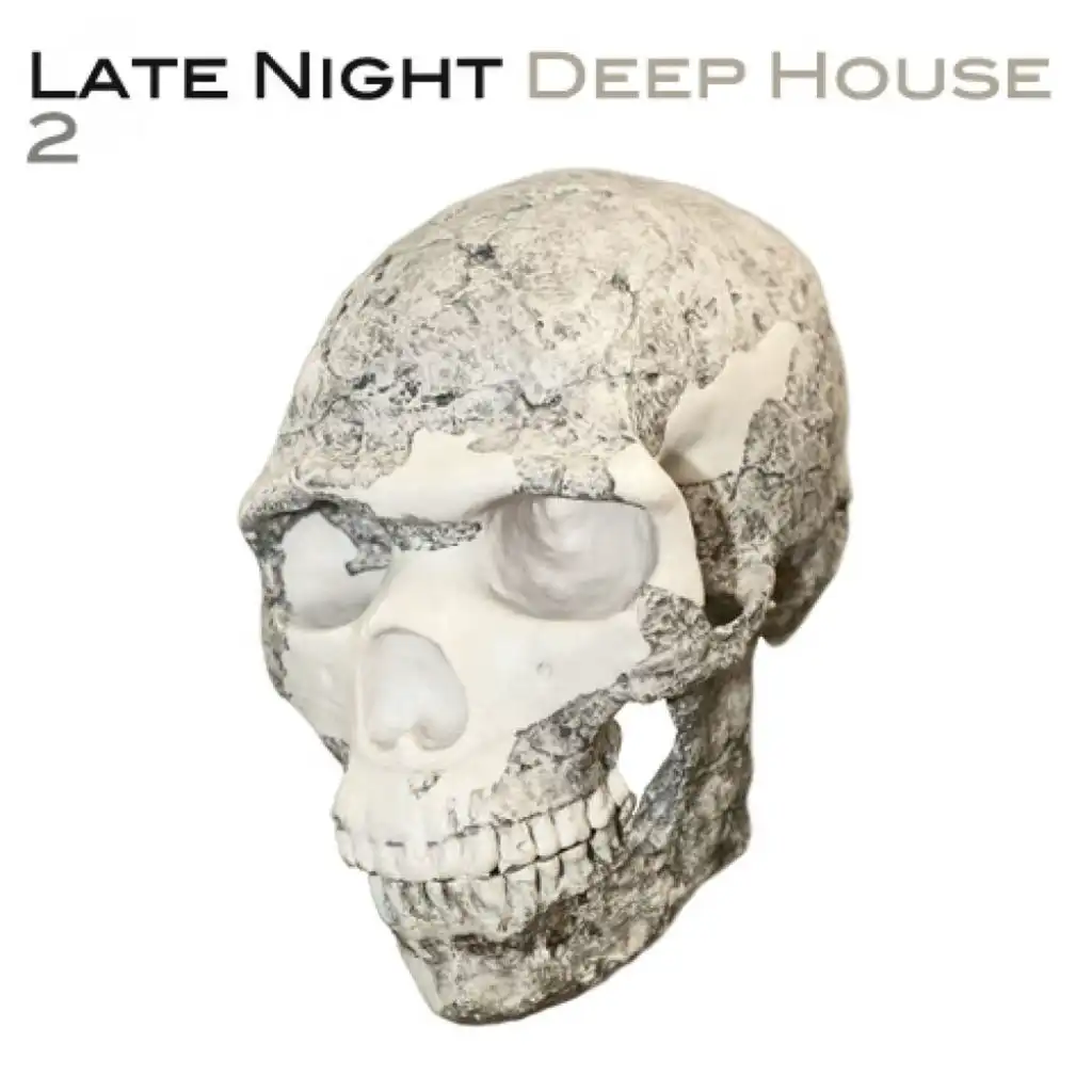 Late Night Deep House 2