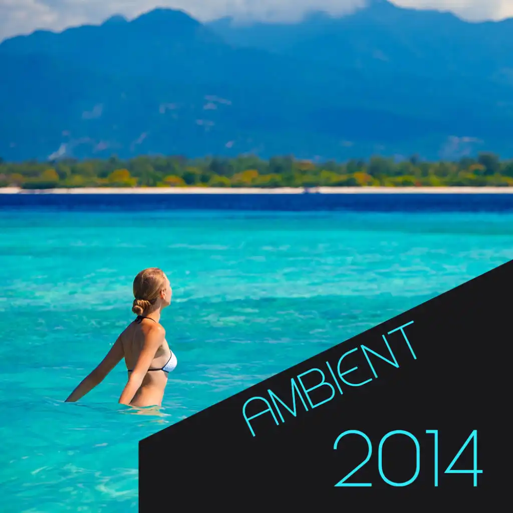 Ambient 2014