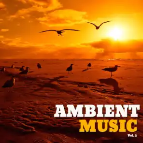 Ambient Music, Vol. 2