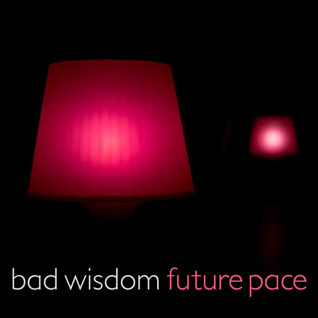 Bad Wisdom