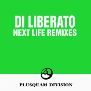 Next Life (Luiz B Remix)