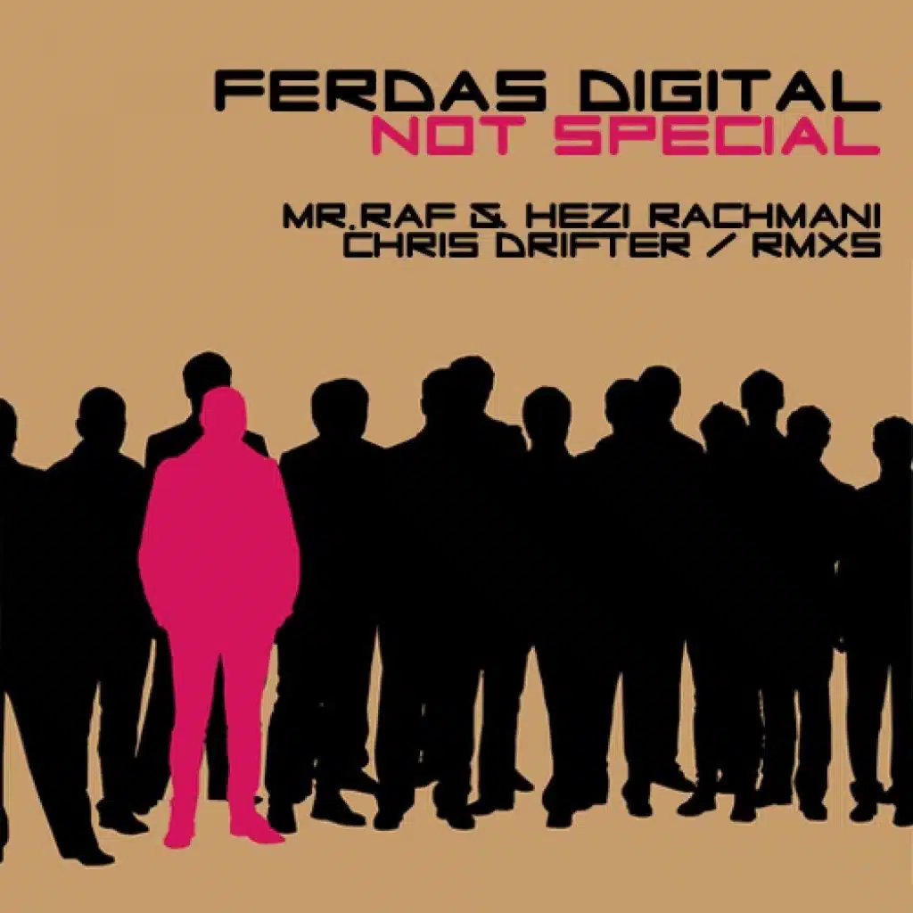 Not Special (Chris Drifter Remix)