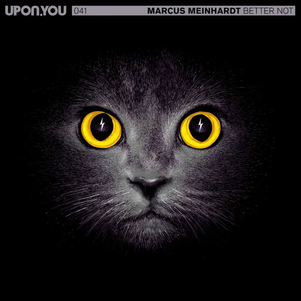 Better Not (feat. Fabian Reichelt)