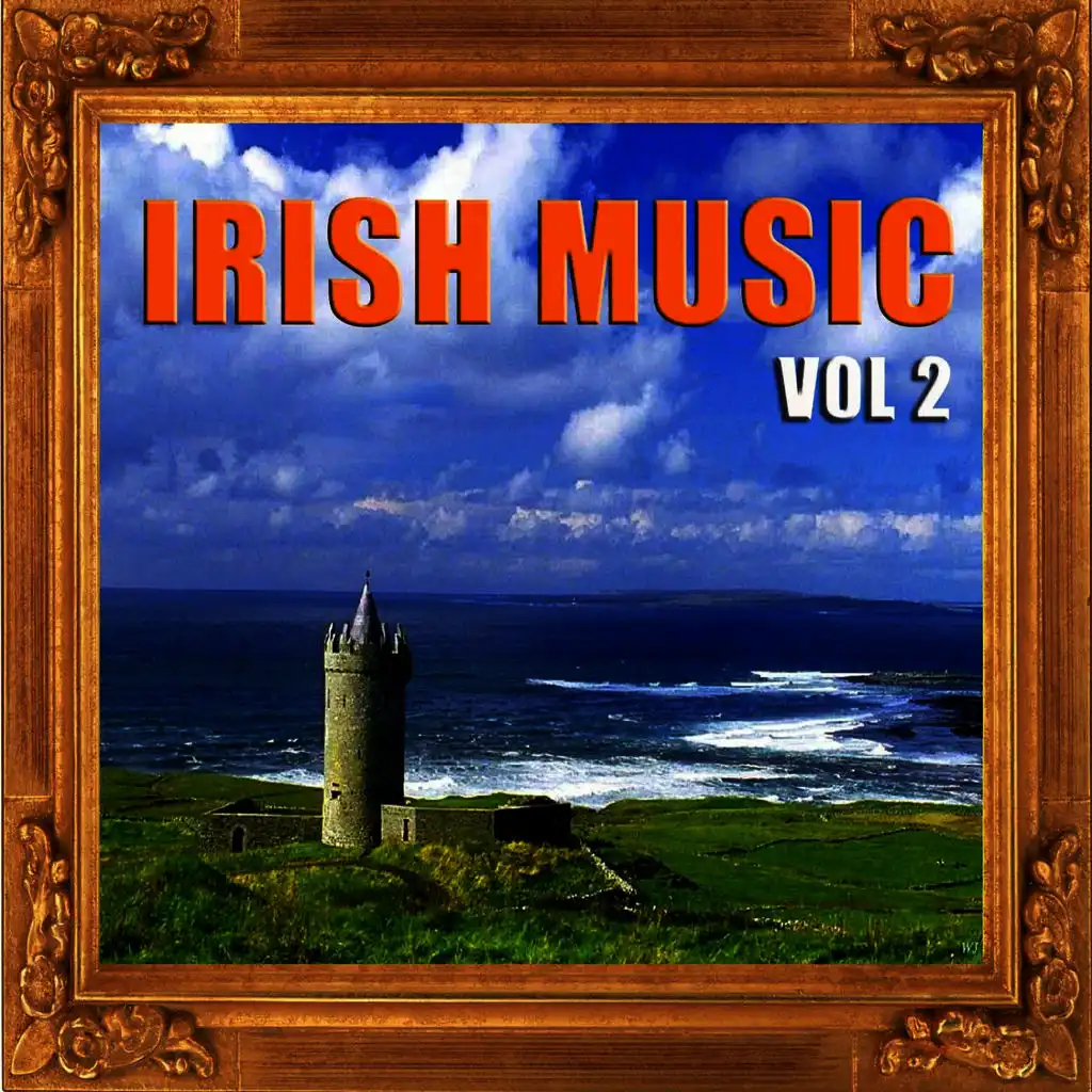 Irish Music, Vol. 2