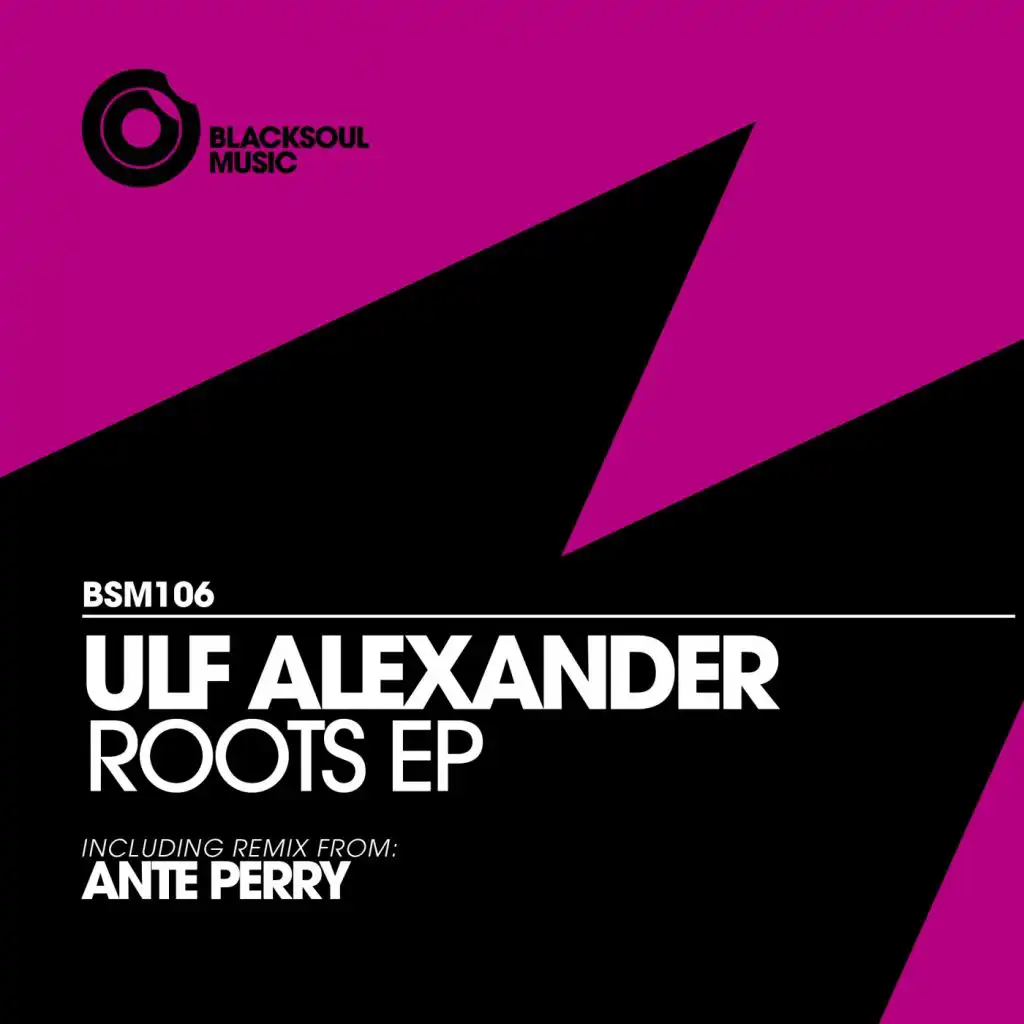 Roots (Ante Perry Remix)