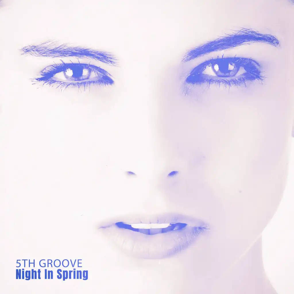 Night In Spring (Short Groove Mix)