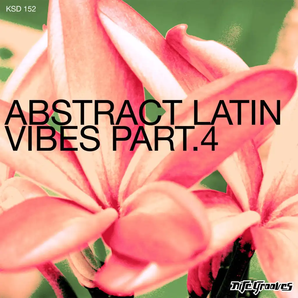 Abstract Latin Vibes, Part 4
