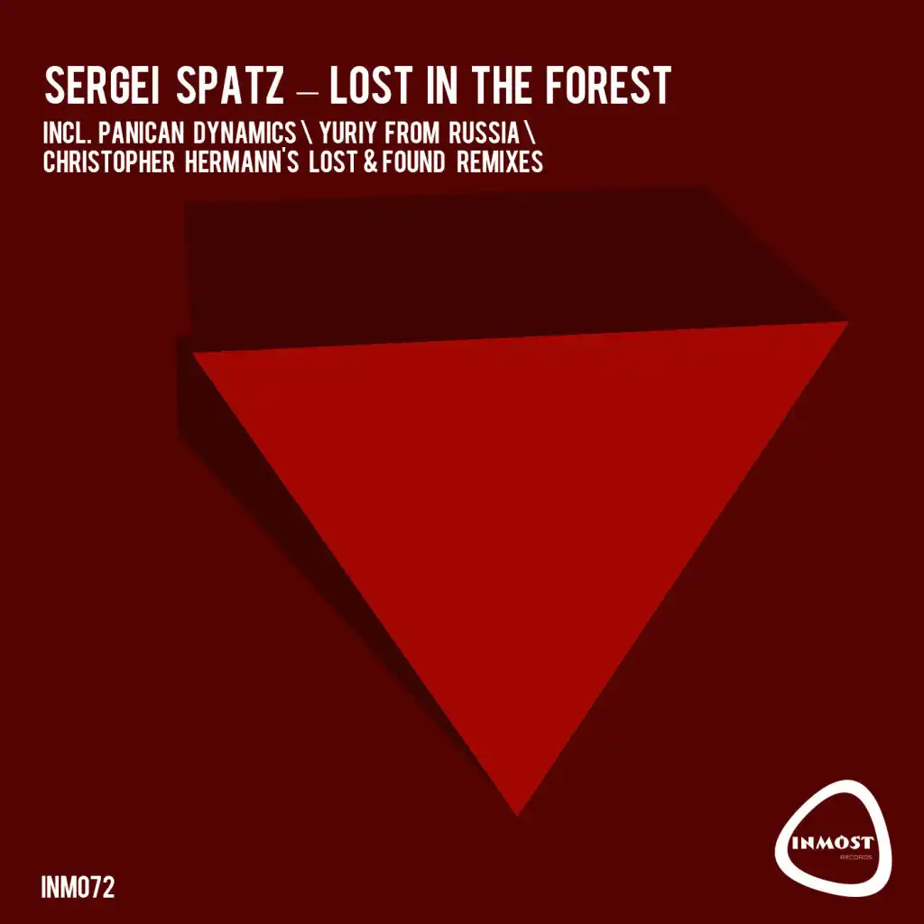 Lost in the Forest (Panican Dynamics Starry Night Above the Forest Remix)