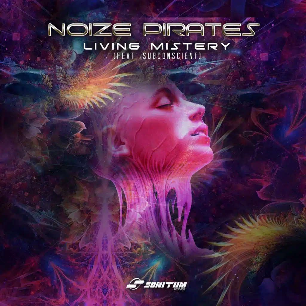 Noize Pirates